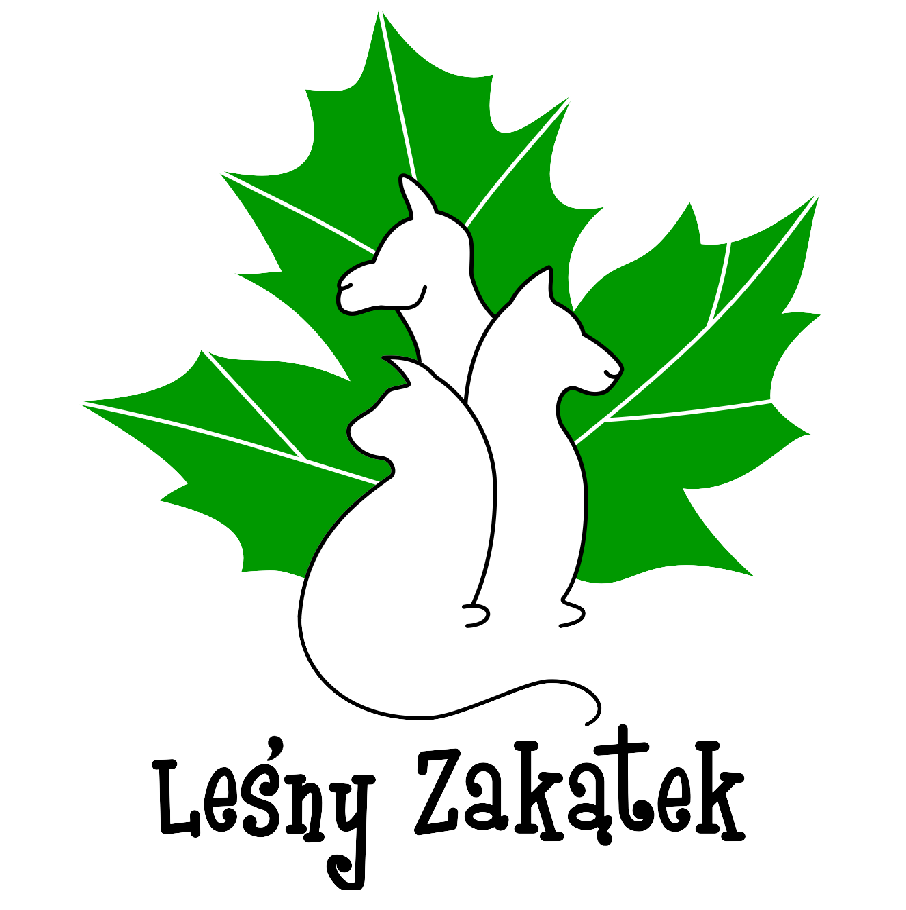 Leśny Zakątek